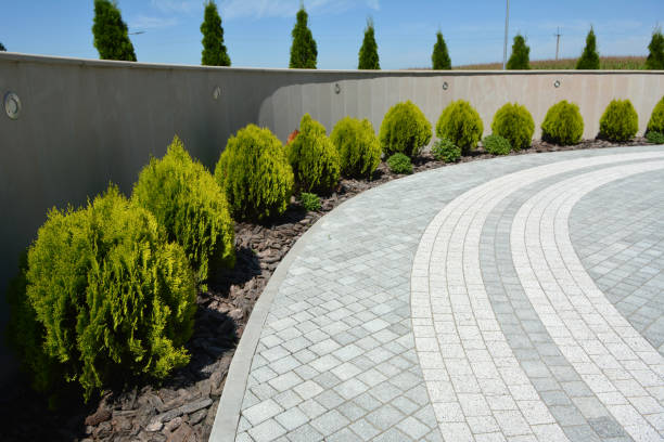 Best Concrete Paver Driveway  in Pharr, TX